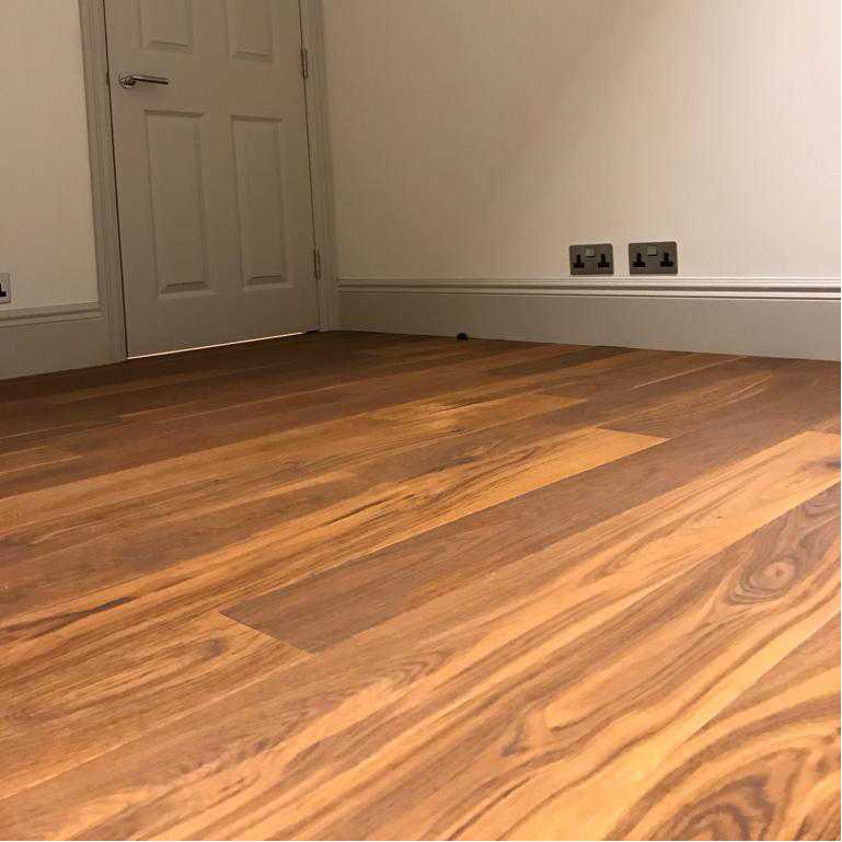 Wooden flooring in a spacious room, featuring a closed door and electrical fittings along the wall, creating a modern aesthetic.